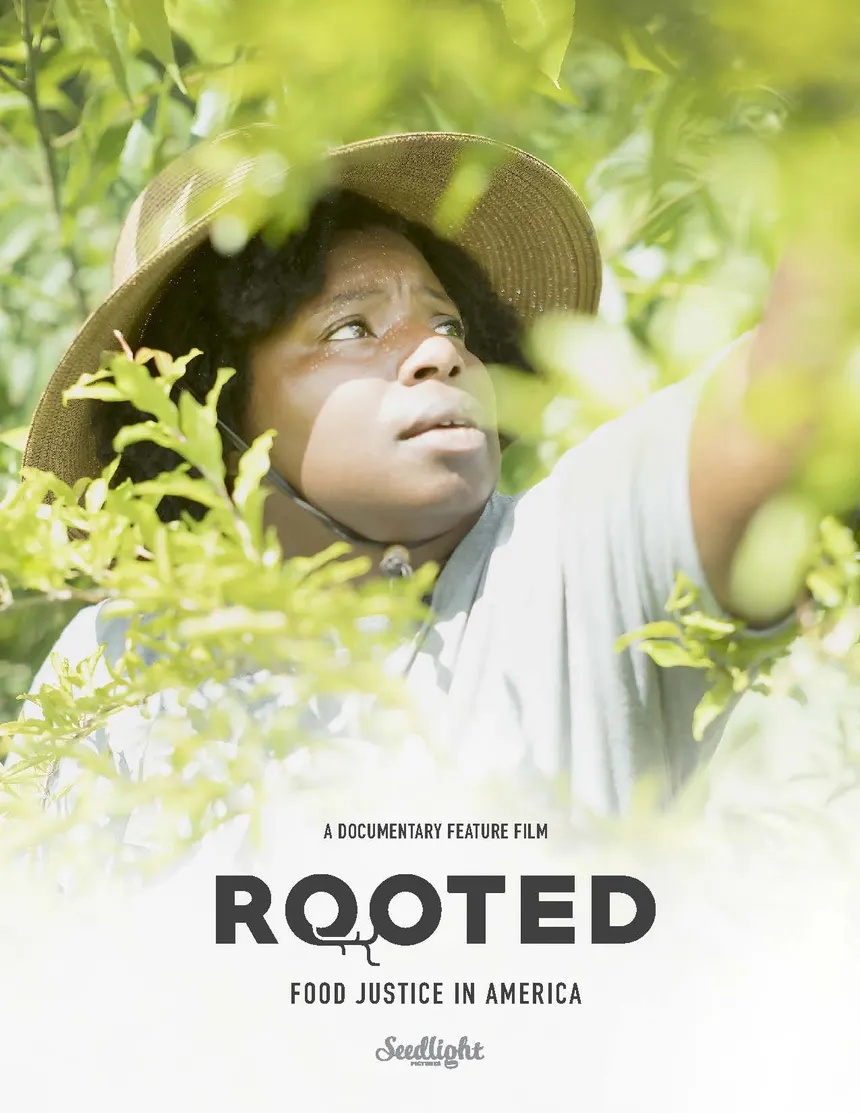 Rooted film poster
